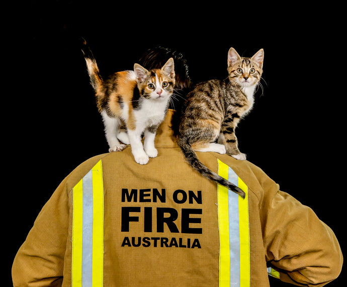 Rescue Kitten Calendar